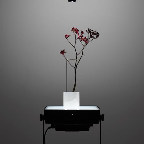Posture vase n.1