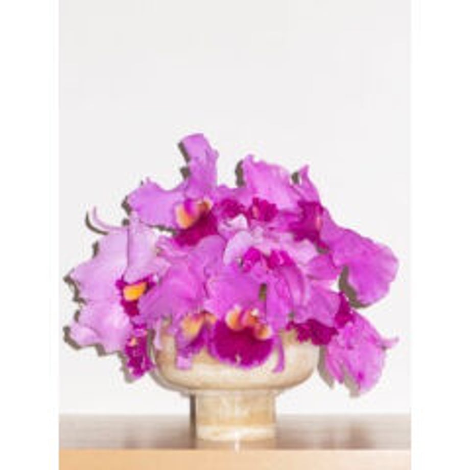 642e661a6af3fc002c94ea9f