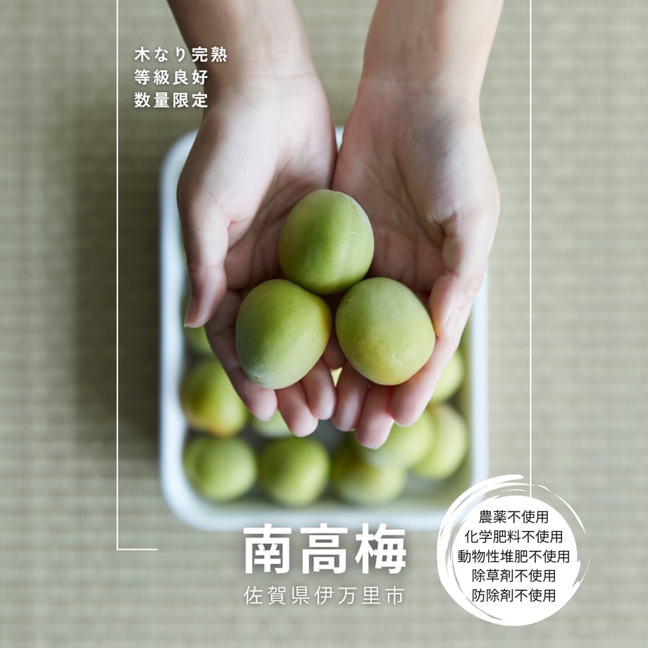 6a24c9217dd1ee969ac24706
