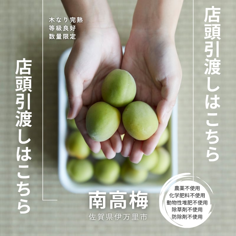 CATEGORY 野菜・果物 | マキイ オンラインショップ