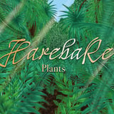 Hare Bare Plants