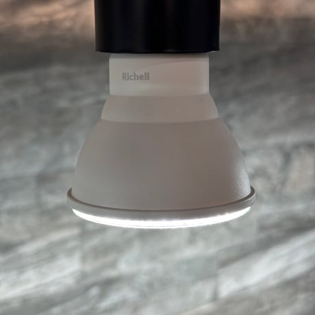 植物育成用LED電球（E26）1型