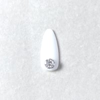 スワロフスキー Vカット ss24
