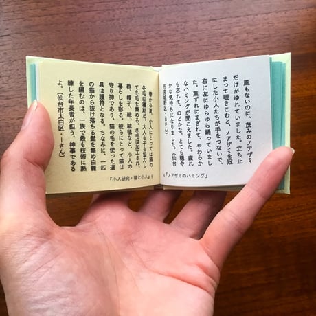 小人をみた人々