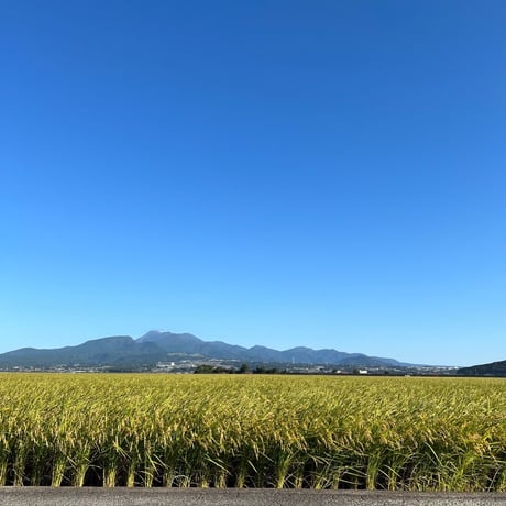 【定期便】5kg6回コース