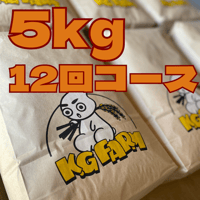 【定期便】5kg12回コース