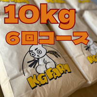 【定期便】10kg6回コース