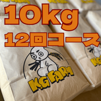 【定期便】10kg12回コース