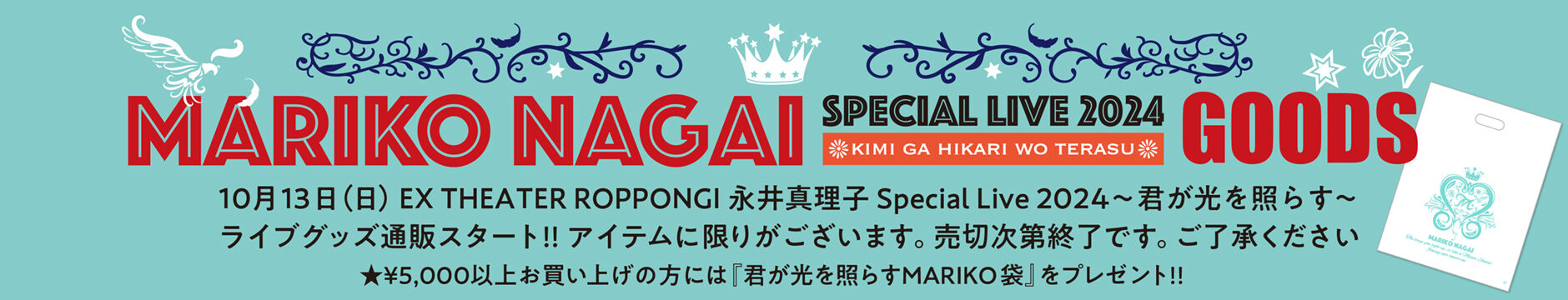 永井真理子グッズ。覚えてませんがレア物あるかも 永井真理子グッズ。覚えてませんがレア物あるかも