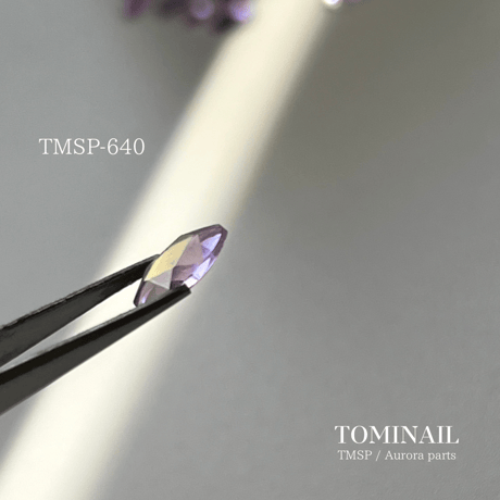 TMSP / Aurora parts(単品)