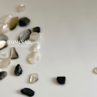TMXYB / shell(単品)