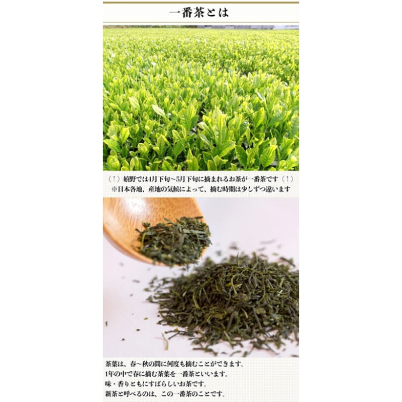 嬉野茶 おひさま茶 100g】 | 梶原製茶園