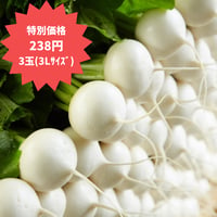 10/11(土)目白庭園「つながるマルシェ」受取【”農林水産大臣賞”小寺さんの日本一美しいカブ】（10/6締切）