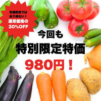07/19(土)目白庭園「つながるマルシェ」受取【JPO有機野菜5種セット】（7/14締切）