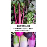 【ミンナノ吉日】01/18(土)ミンナノ吉日「吉日マルシェ」受取【三浦野菜セット】（1/13締切）
