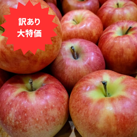 10/11(土)目白庭園「つながるマルシェ」受取【”訳あり大特価”山形の早生ふじりんご】（10/6締切）