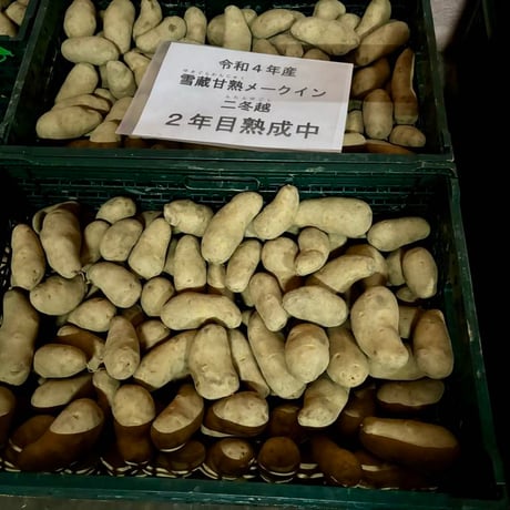 【ミンナノ吉日】11/16(土)　受取【２年越しの甘熟メークイン 1kg】（11/11締切）