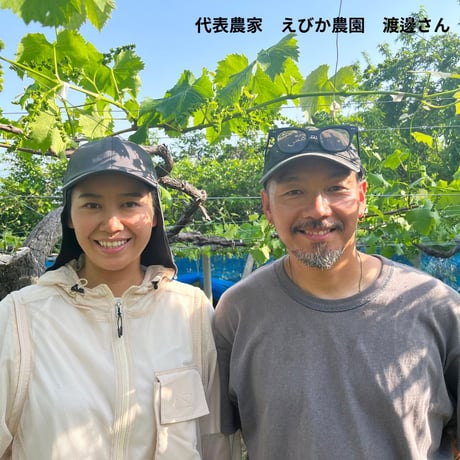08/23(土)ミンナノ吉日「ミンナノTABLE予約便」受取【ぶどうの王様”甲斐の里グループ”の巨峰】（8/18締切）