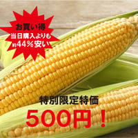 06/28(土)ミンナノ吉日「ミンナノTABLE予約便」受取【朝もぎたて！TOKYOとうもろこし】(6/23締切)