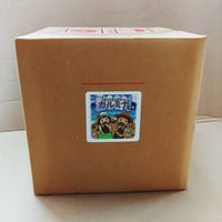 カルミナ液剤（20L）