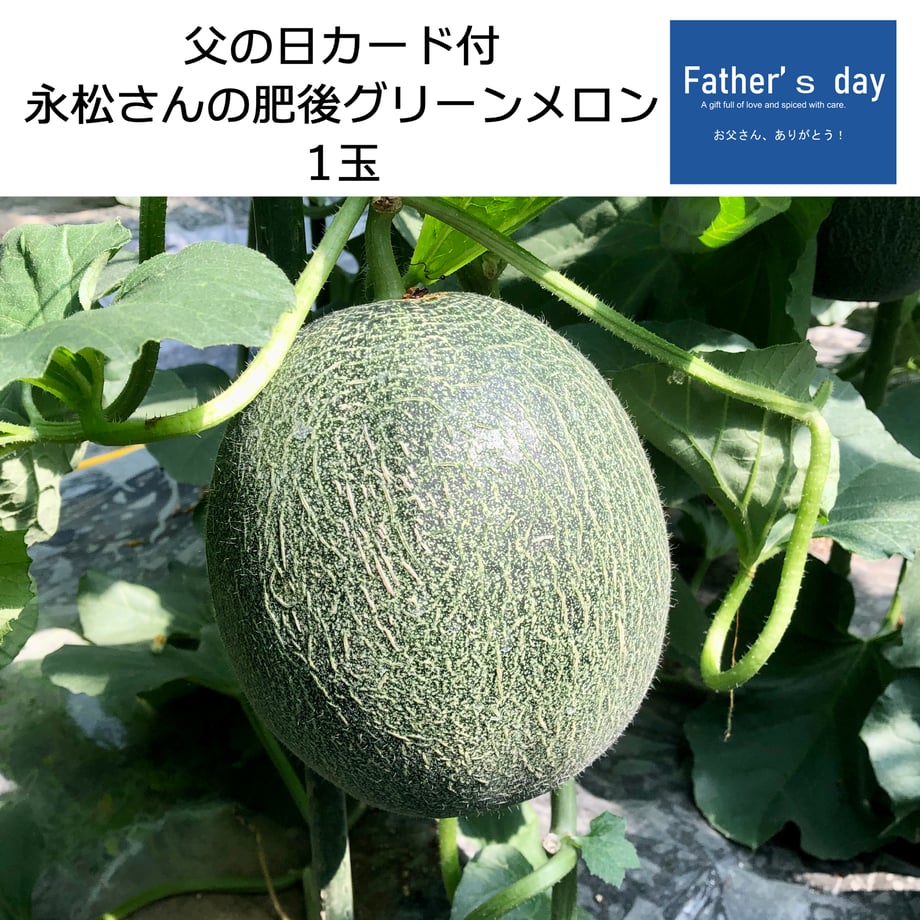 69cb4af21bcd744c367e7954