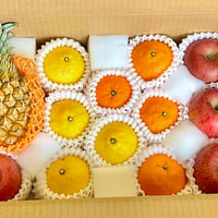 【特選生産者】旬のフルーツ詰合せ　約3kg（生産者限定フルーツ1種＋りんご＋柑橘等 ３種程度詰め合わせ）