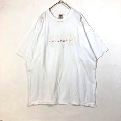90s シングルステッチ　刺繍　ビッグロゴ　テネシー　Tシャツ　白