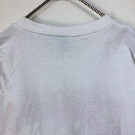 90s シングルステッチ　FIJI　魚　ビッグロゴ　半袖　Tシャツ　色