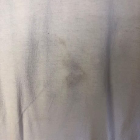 90s シングルステッチ　フルーツオブザルーム　半袖　Tシャツ　白