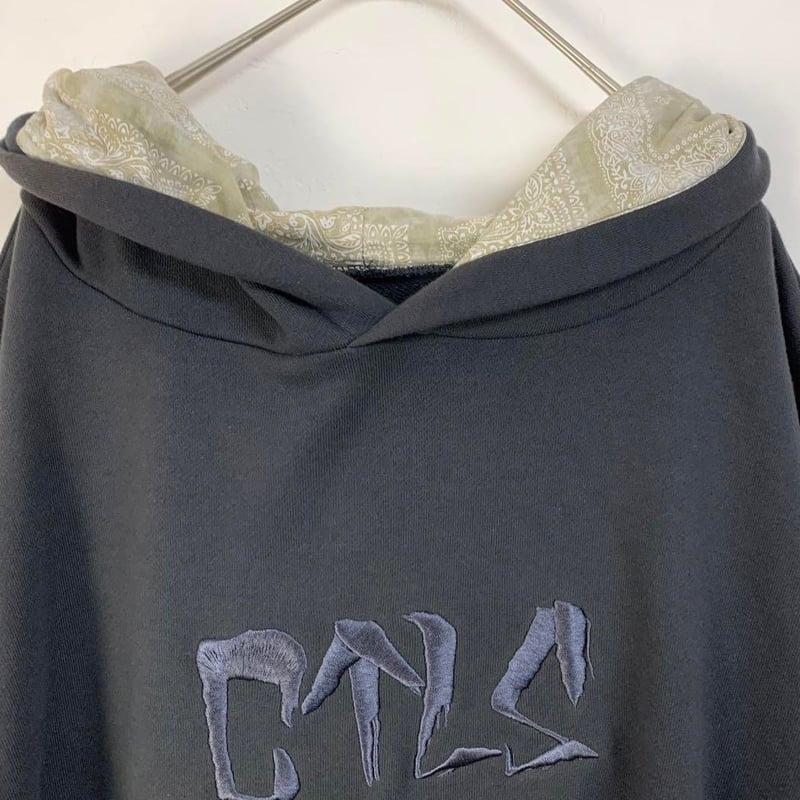 375CVTVLIST CTLS カタリスト パーカー USUAL hoodie | PEAC