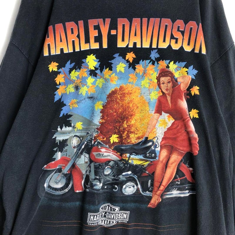 HARLEY DAVIDSON ハーレーダビッドソン ビッグプリント 長袖 ロン T | P