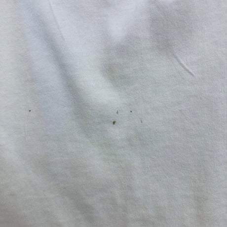 90s USA製　フルーツオブザルーム　ビッグロゴ　Tシャツ　白