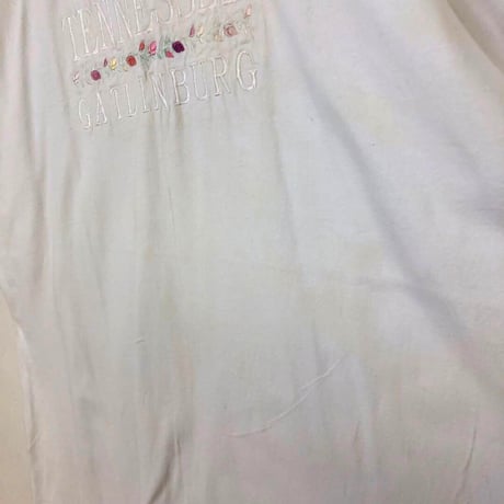 90s シングルステッチ　刺繍　ビッグロゴ　テネシー　Tシャツ　白