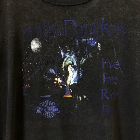 ハーレーダビッドソン　両面　プリント　ビッグロゴ　半袖　Tシャツ