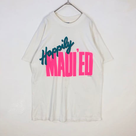90s シングルステッチ USA製 ヘインズ　ロゴ　Tシャツ　白
