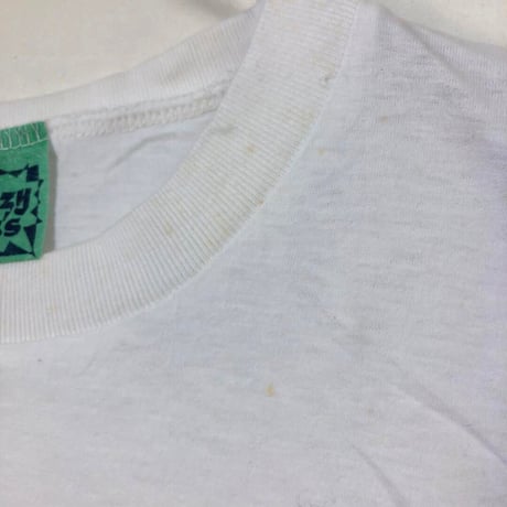 90s シングルステッチ　FIJI　魚　ビッグロゴ　半袖　Tシャツ　色