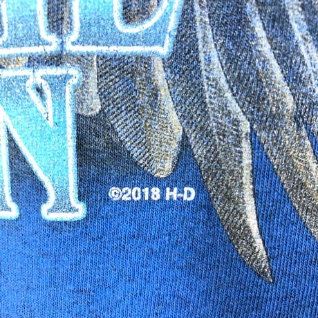 ハーレーダビッドソン　両面　ビッグロゴ　半袖　Tシャツ　青