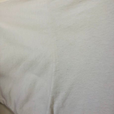 00s フルーツオブザルーム　サッカー　ビッグロゴ　半袖　Tシャツ　白