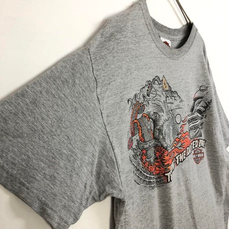 ハーレーダビッドソン　両面　プリント　ビッグロゴ　半袖　Tシャツ
