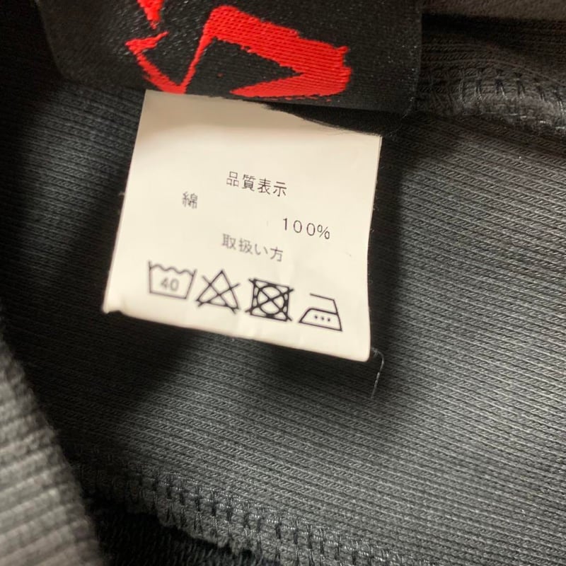 375CVTVLIST CTLS カタリスト パーカー USUAL hoodie | PEAC