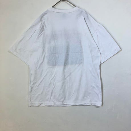 90s シングルステッチ　FIJI　魚　ビッグロゴ　半袖　Tシャツ　色