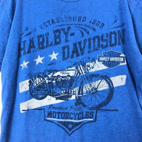 ハーレーダビッドソン　両面　ビッグロゴ　半袖　Tシャツ　青