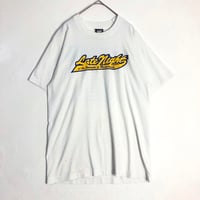 USA製　カレッジ　マサチューセッツ　シングルステッチ　Tシャツ　白