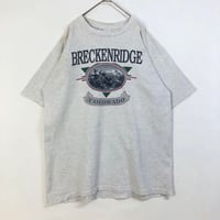 90s シングルステッチ　コロラド　ビッグロゴ　半袖　Tシャツ　白