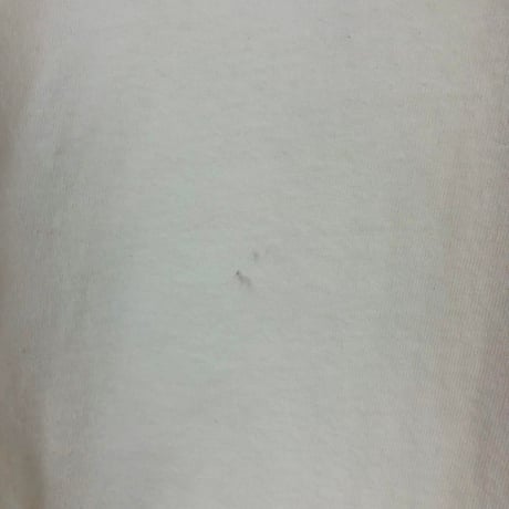 00s フルーツオブザルーム　リタイア　ビッグロゴ　Tシャツ　白