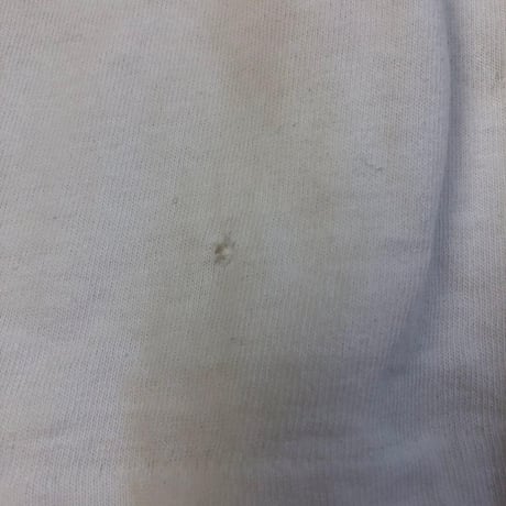 90s シングルステッチ　フルーツオブザルーム　半袖　Tシャツ　白