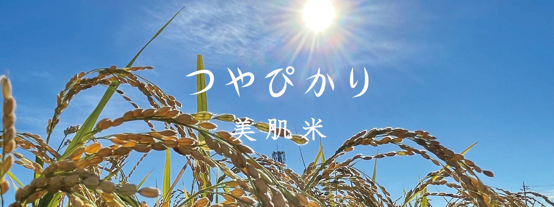 TSUYAPIKARI online shop