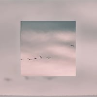 "Feel" 商用利用ライセンス