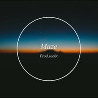 "Maze" パラデータ＋商用利用権＋WAVデータ