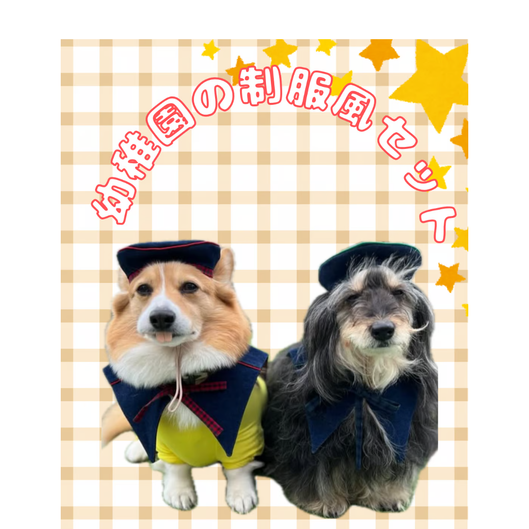 幼稚園の制服風セット | Headgear club STORE